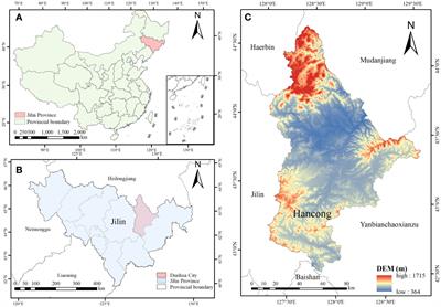 Experimental investigation of freeze injury temperatures in trees and their contributing factors based on electrical impedance spectroscopy